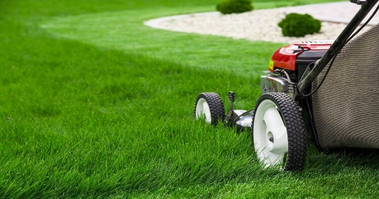 Mowing Lawn